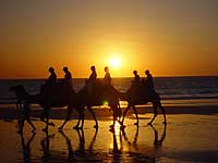 Broome Cable beach Camel