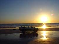 Broome Cable beach Camel