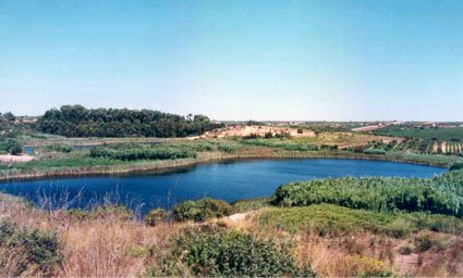 laghetti gorghi2