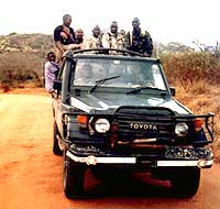 Safari