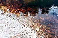 Acqua dello Spey