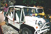 Io e la mia fida mini-moke