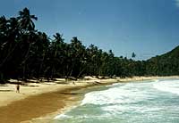 Playagrande2_17.01.2002