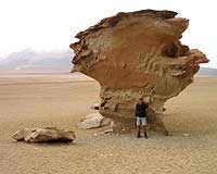Arbre de Piedra