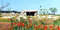 Dolmen Giurdignano