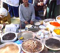 Spezie