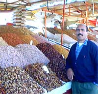 Datteri