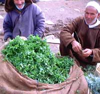 Menta