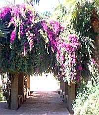 Giardino dell'hotel