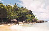 Kata Beach