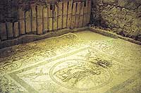 Mosaici del 3° sec. a.C. alle Terme