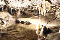 Particolare delle Grotte di Villanova