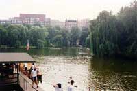 Boston - The common park