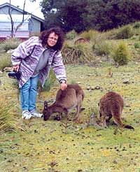 kangaroos and me