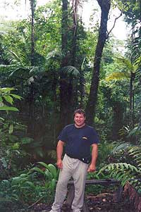 gino rainforest