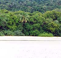 cape trib beach