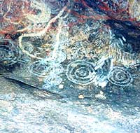 aboriginal painting at uluru