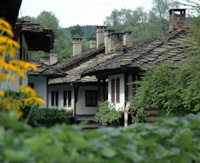 rozova dolina