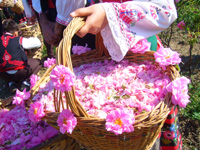 koprivchtitsa bulgarie