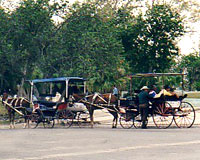 Carrozze