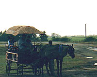 Campagna cubana
