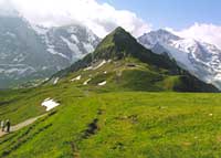 Mannlichen