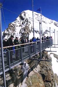La terrazza sulla Jungfrau