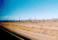 Baja California sulla strada
