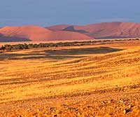 Sossusvlei