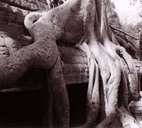 Ta Phrom