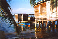Bocas