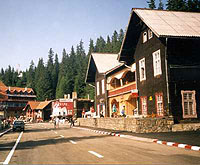 Paltinis
