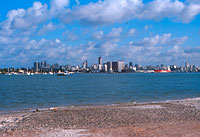 Natal