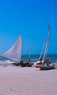Majorlandia