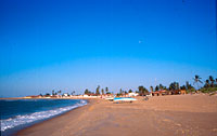 Galinhos