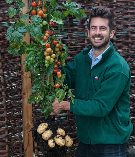 TomTato