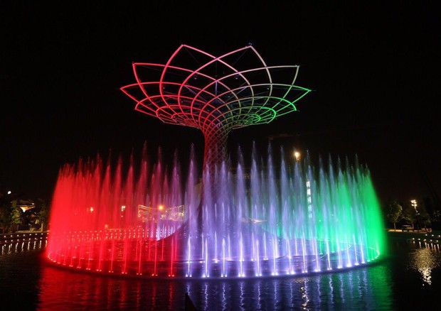 Expo albero della vita