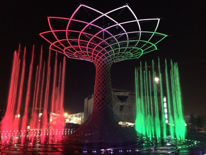 Expo albero della vita