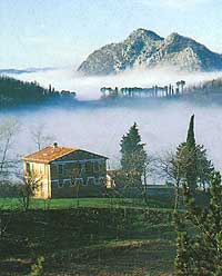 Parco Carne