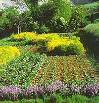 Giardino Casola