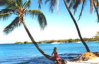 Kona - Big Island