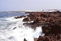 Orzola