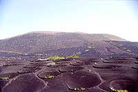 La Geria