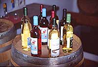 Vino di lanzarote