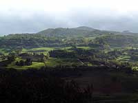 Novafeltria