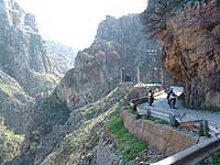 Gola di topolia