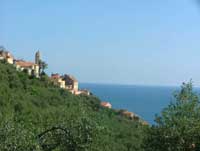 Cervo
