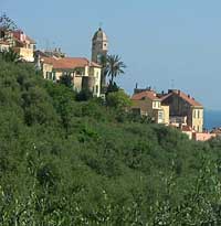 Cervo
