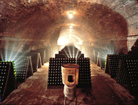 Cantina Contratto
