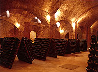 Cantine Bosca